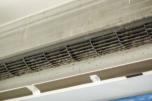 Best Air Duct Cleaning Near Me  in Torrington, CT